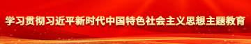 操黑逼123学习贯彻习近平新时代中国特色社会主义思想主题教育