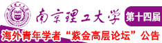 www骚逼com南京理工大学第十四届海外青年学者紫金论坛诚邀海内外英才！